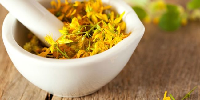 Herboristería en Valencia Herboristería en Valencia